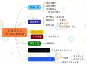 古都西安 思維之網(wǎng)，網(wǎng)絡(luò)技術(shù)服務(wù)的璀璨融合